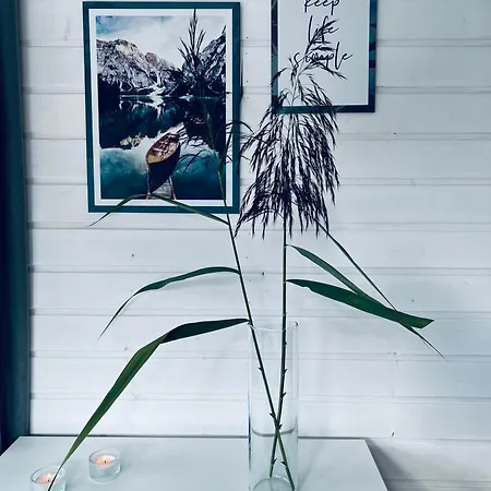 Waterview - Schwimmendes Auf Dem Wasser Mit Blick Zur Havel, Inkl Motorboot Zur Nutzung * Fürstenberg-Havel