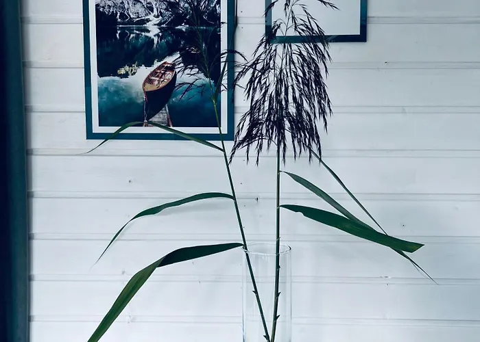 Waterview - Schwimmendes Auf Dem Wasser Mit Blick Zur Havel, Inkl Motorboot Zur Nutzung * Fürstenberg-Havel